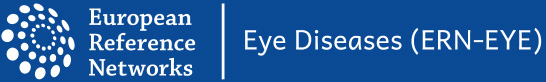 ERN-EYE logotipas