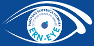 Logo dell'occhio ERN-EYE