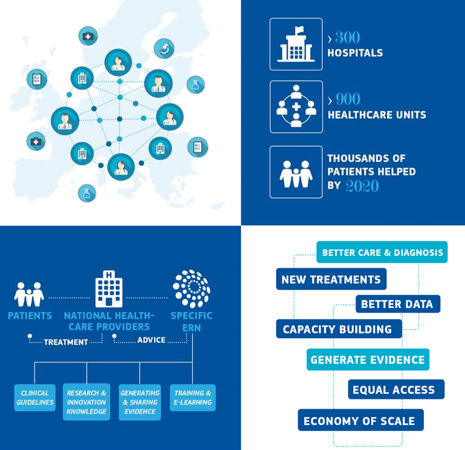 Over 300 hospitals ; over 900 healthcare units ; thousands of patients helped by 2020.  Patients get treatment through national healthcare providers, who are advised by specific ERNs. Those ERNs provide clinical guidelines, research and innovation knowledge, tools for training and e-learning, and generate and share evidence.  ERNs allow for better care and diagnosis, new treatments, better data, capacity building, generating evidence, equal access, and economy of scale.